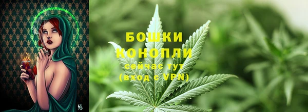 шишки Гусь-Хрустальный