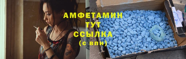 шишки Гусь-Хрустальный