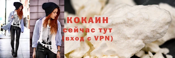 шишки Гусь-Хрустальный