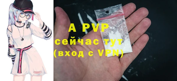 шишки Гусь-Хрустальный