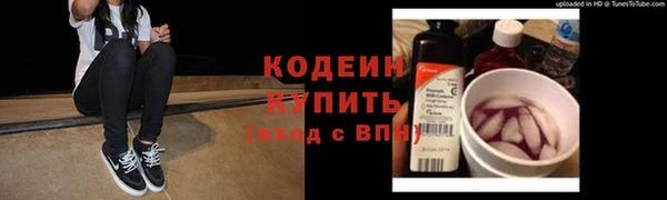 шишки Гусь-Хрустальный