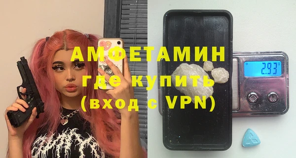 шишки Гусь-Хрустальный