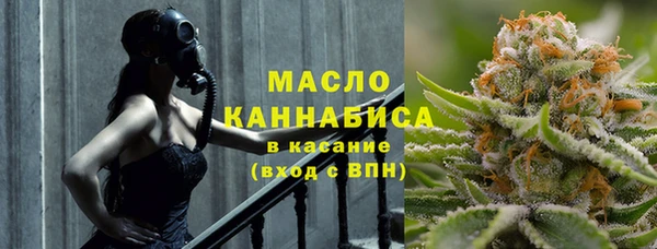 шишки Гусь-Хрустальный