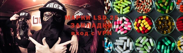 шишки Гусь-Хрустальный